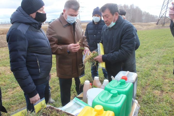 Министр Арча районында