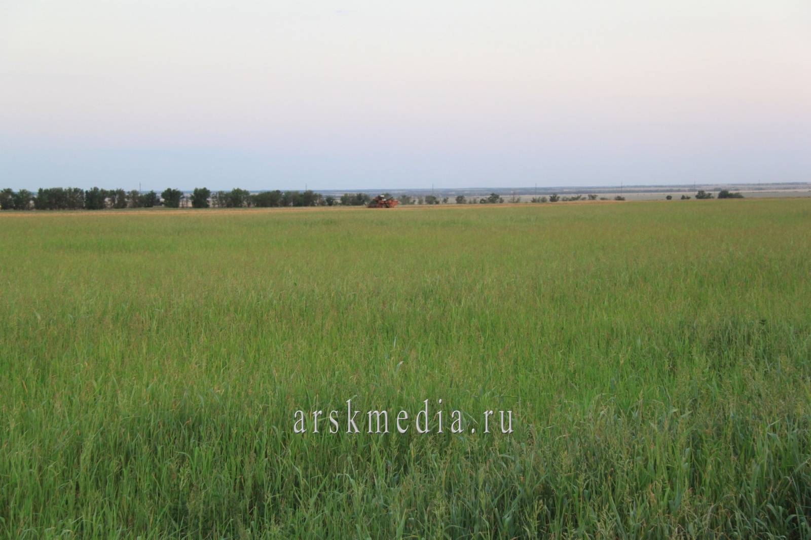 Арчабаш авылы төзелә башлады