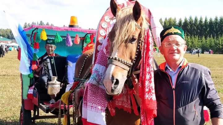 Бизәлгән җигүле атларда беренчелек - Курса-Почмактан Хәлил Хәсәновта