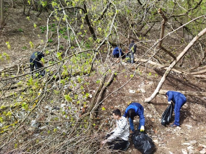 Бүген Арчада коры елгаларны, юл буйларын чистарттылар, агачларны буядылар 